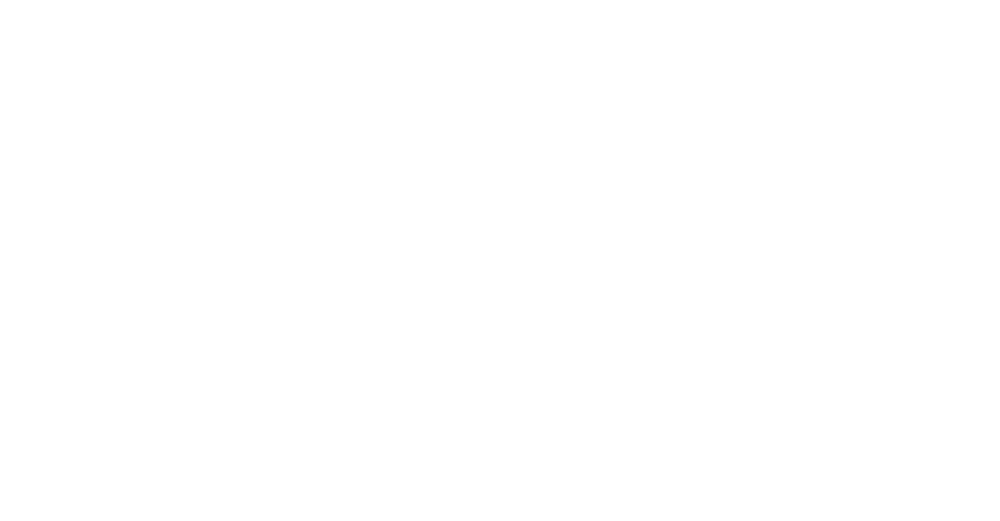 Logo-BMI